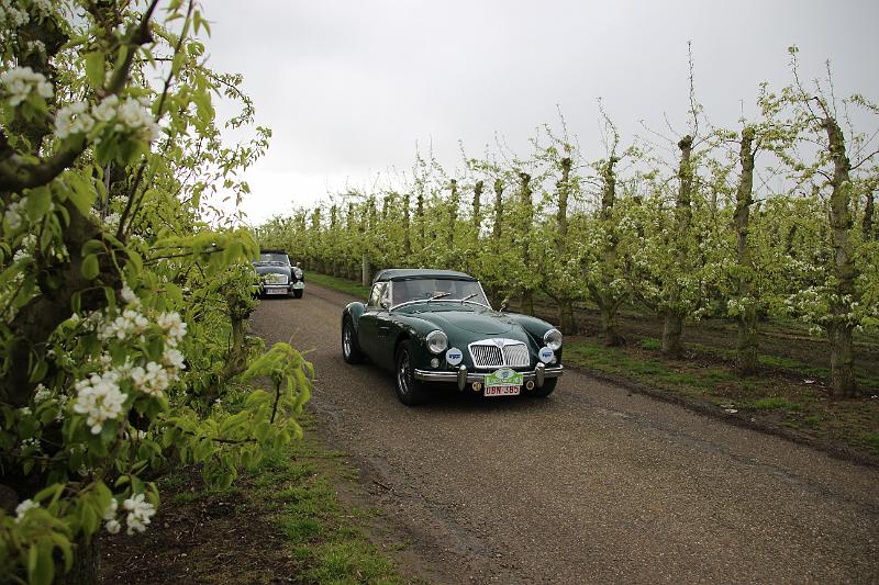 MG Bloesemrit op 24-4-2016 org. Jos&Marie-lou  (78).JPG